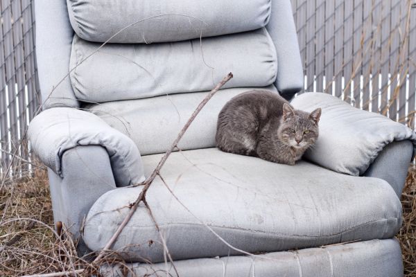 Recliner Disposal in Abilene